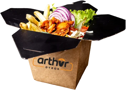 Gyros box sa pomfritom i salatom